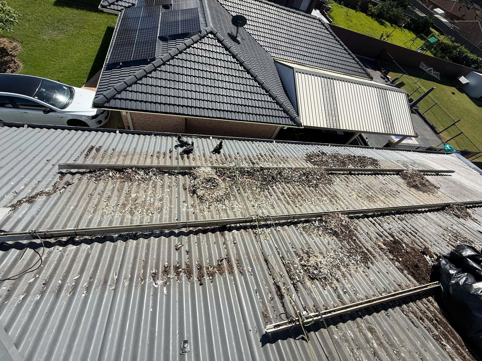 Dirty roof with bird droppings
